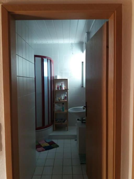 Gemuetliche, Helle Wohnung Im Luftkurort Dansenberg Kaiserslautern Zewnętrze zdjęcie
